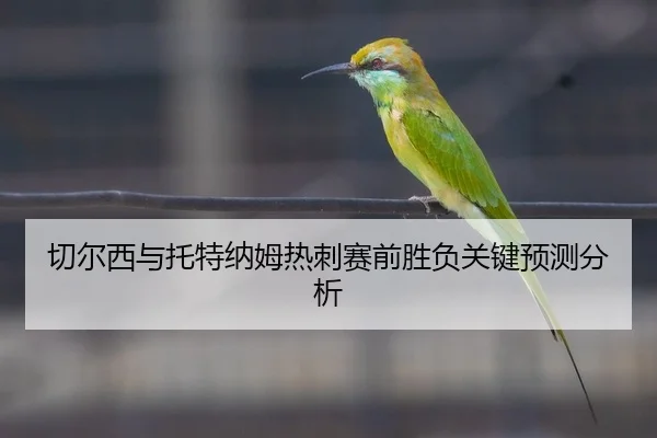 切尔西与托特纳姆热刺赛前胜负关键预测分析